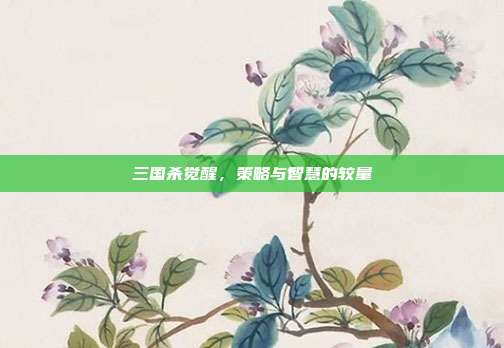 三国杀觉醒,策略与智慧的较量