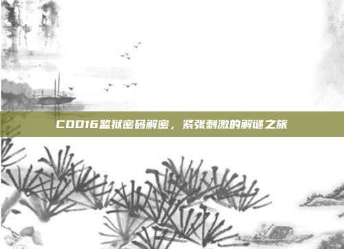 COD16监狱密码解密,紧张刺激的解谜之旅