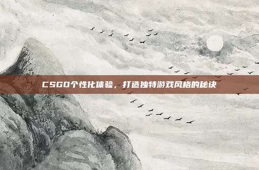 CSGO个性化体验,打造独特游戏风格的秘诀