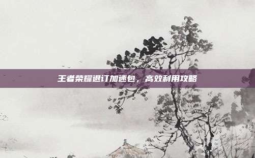 王者荣耀退订加速包,高效利用攻略