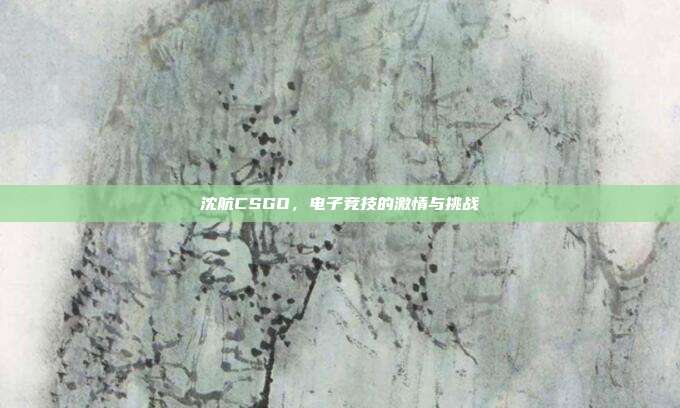 沈航CSGO,电子竞技的激情与挑战