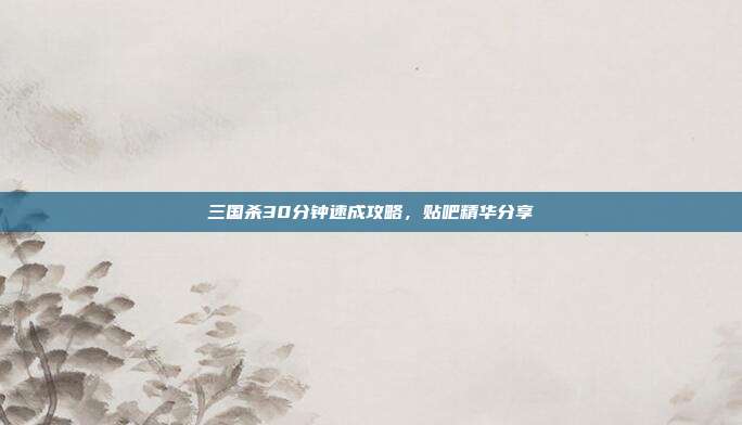 三国杀30分钟速成攻略,贴吧精华分享