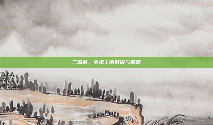 三国杀,电视上的对决与策略