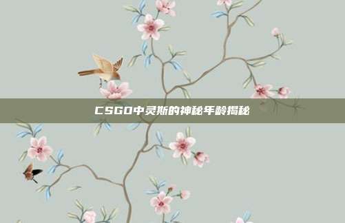 CSGO中灵斯的神秘年龄揭秘