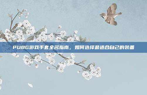 PUBG游戏手套全名指南,如何选择最适合自己的装备