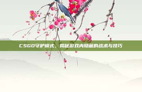 CSGO守护模式,揭秘游戏内隐藏的战术与技巧