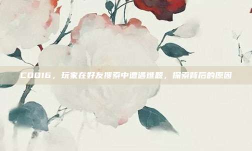 COD16,玩家在好友搜索中遭遇难题,探索背后的原因