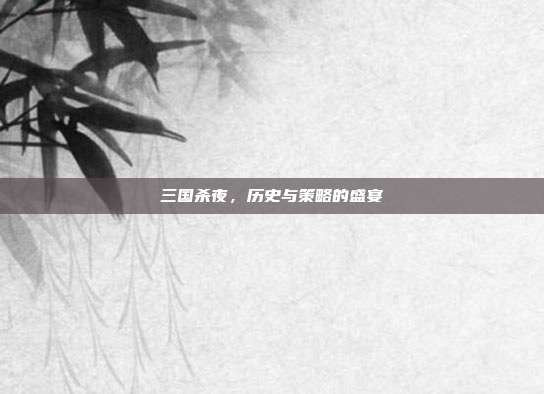 三国杀夜,历史与策略的盛宴