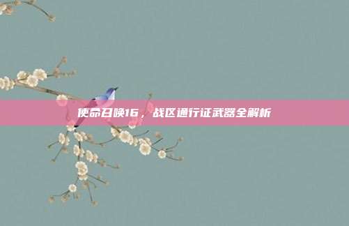 使命召唤16,战区通行证武器全解析