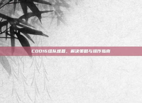 COD16组队难题,解决策略与操作指南