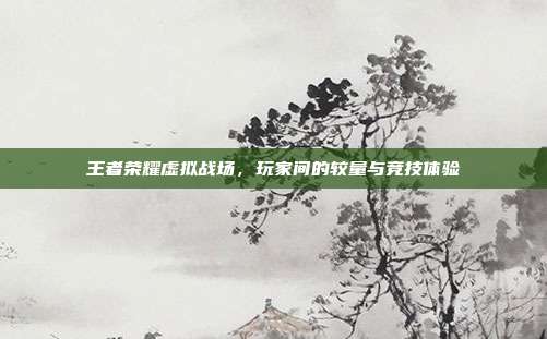 王者荣耀虚拟战场,玩家间的较量与竞技体验