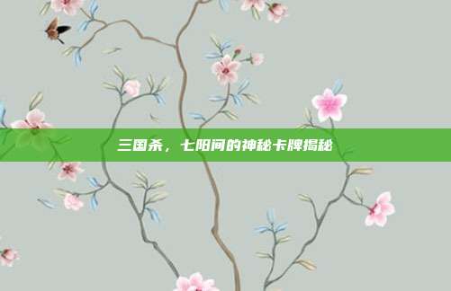 三国杀,七阳间的神秘卡牌揭秘