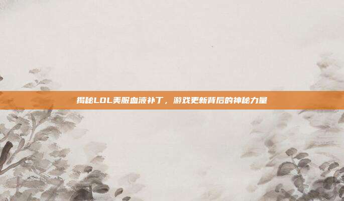 揭秘LOL美服血液补丁,游戏更新背后的神秘力量