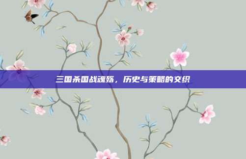 三国杀国战魂殇,历史与策略的交织