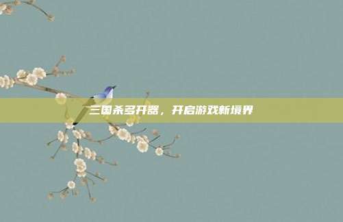三国杀多开器,开启游戏新境界