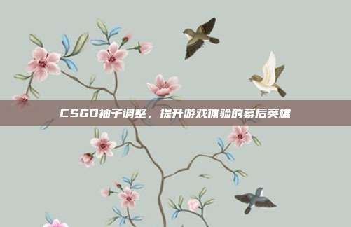 CSGO袖子调整,提升游戏体验的幕后英雄