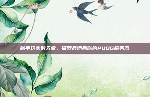 新手玩家的天堂,探索最适合你的PUBG服务器