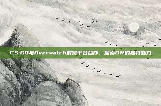 CS:GO与Overwatch的跨平台合作,探索OW的独特魅力