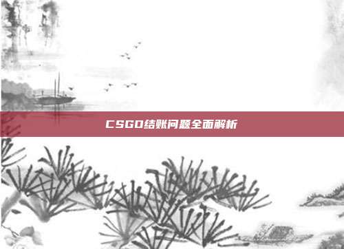 CSGO结账问题全面解析