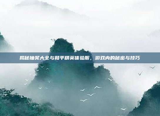 揭秘抽奖大全与和平精英体验服,游戏内的秘密与技巧