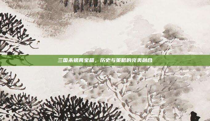 三国杀银两宝箱,历史与策略的完美融合