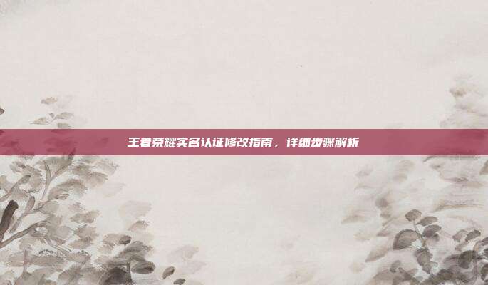 王者荣耀实名认证修改指南,详细步骤解析