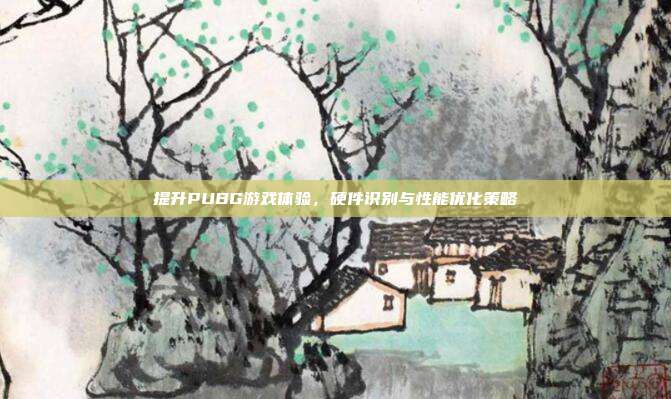 提升PUBG游戏体验,硬件识别与性能优化策略