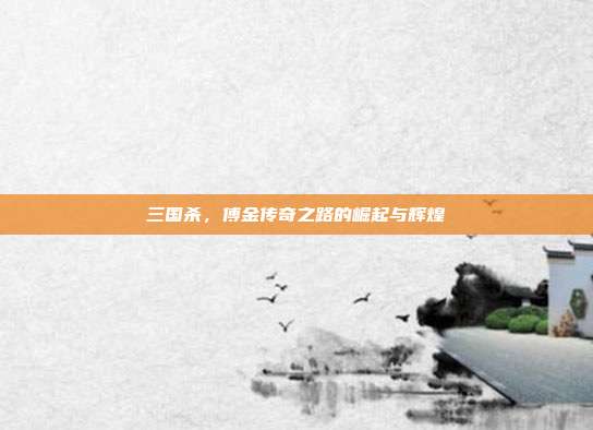 三国杀,傅金传奇之路的崛起与辉煌