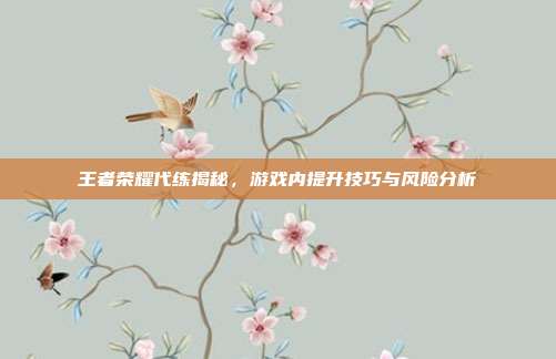 王者荣耀代练揭秘,游戏内提升技巧与风险分析