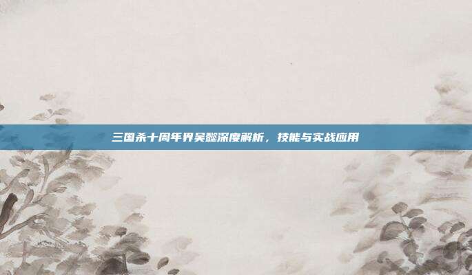 三国杀十周年界吴懿深度解析,技能与实战应用