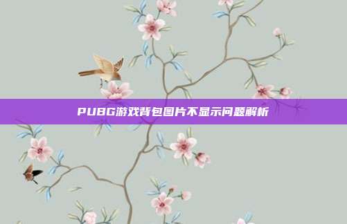 PUBG游戏背包图片不显示问题解析