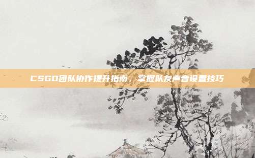 CSGO团队协作提升指南,掌握队友声音设置技巧