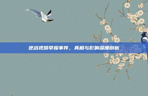 逆战视频举报事件,真相与影响深度剖析