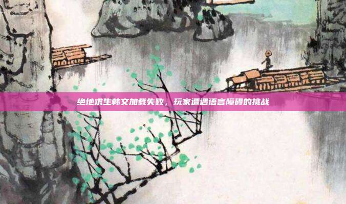 绝地求生韩文加载失败,玩家遭遇语言障碍的挑战