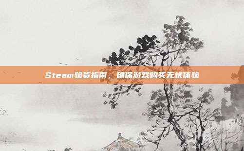 Steam验货指南,确保游戏购买无忧体验