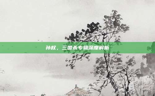 孙权,三国杀专辑深度解析