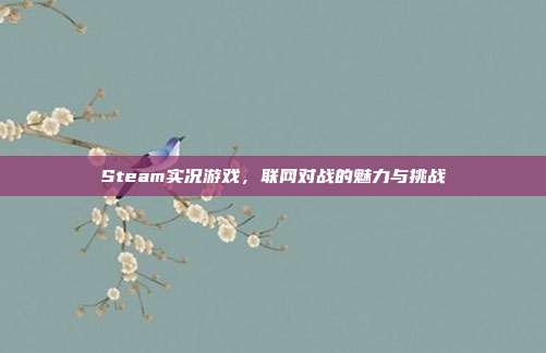 Steam实况游戏,联网对战的魅力与挑战