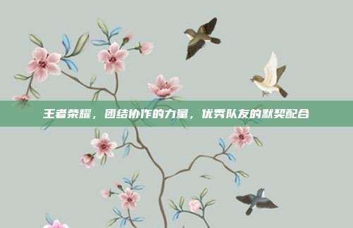王者荣耀,团结协作的力量,优秀队友的默契配合