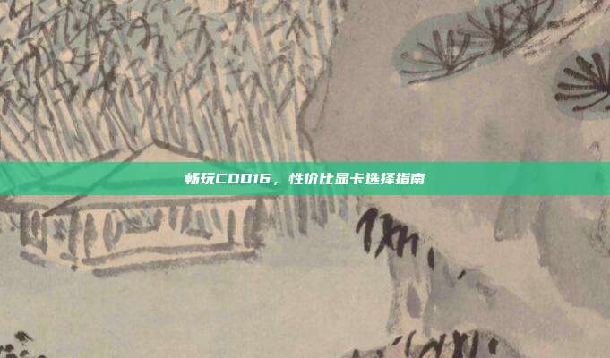 畅玩COD16,性价比显卡选择指南
