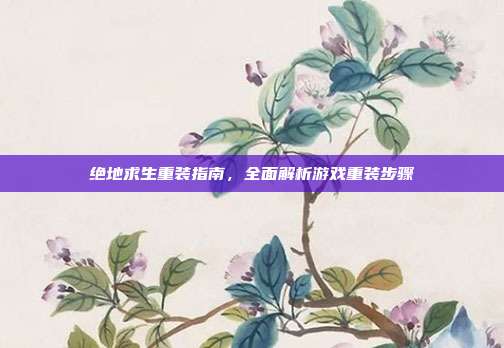 绝地求生重装指南,全面解析游戏重装步骤