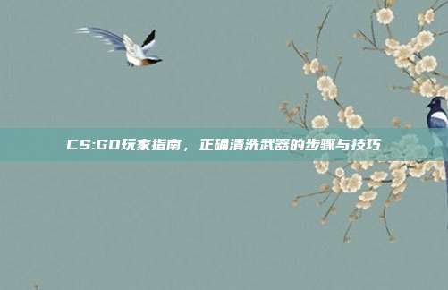 CS:GO玩家指南,正确清洗武器的步骤与技巧