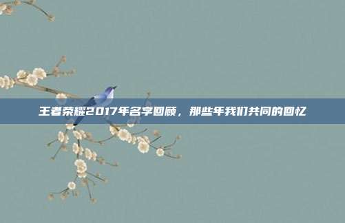 王者荣耀2017年名字回顾,那些年我们共同的回忆