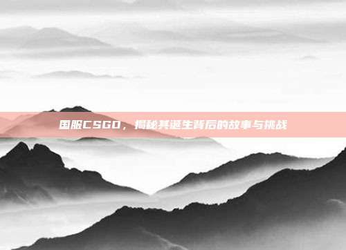 国服CSGO,揭秘其诞生背后的故事与挑战