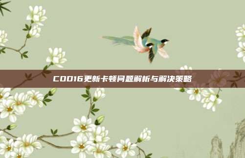 COD16更新卡顿问题解析与解决策略