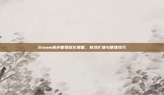 Steam库存管理优化策略,有效扩增与管理技巧
