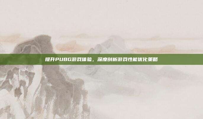 提升PUBG游戏体验,深度剖析游戏性能优化策略