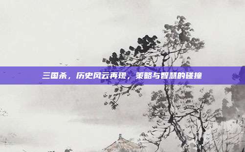 三国杀,历史风云再现,策略与智慧的碰撞