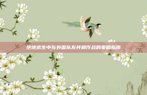 绝地求生中与外国队友并肩作战的策略指南