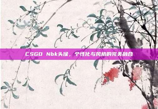 CSGO Nbk头像,个性化与风格的完美融合