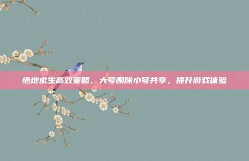 绝地求生高效策略,大号删除小号共享,提升游戏体验